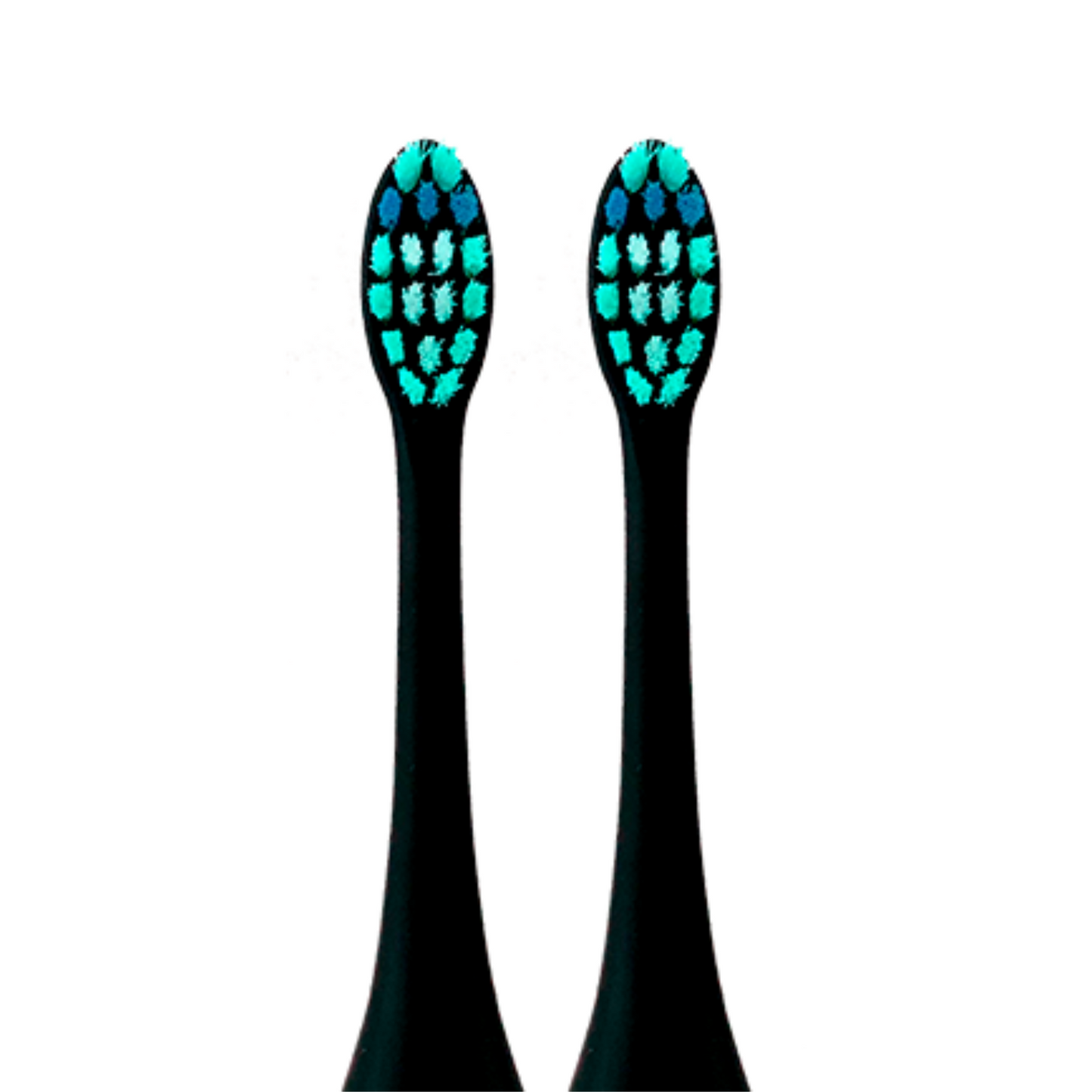 Børstehoveder Sort 2. stk - Brush Buddy